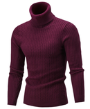 Men Hi-Neck Smart Fit Sweater / High Collar Solid Simple Slim Fit Knitted Sweaters-Red wine-M-JadeMoghul Inc.