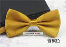 Men's Fashion Silk BowTie-champagne-JadeMoghul Inc.