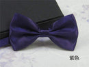Men's Fashion Silk BowTie-purple-JadeMoghul Inc.