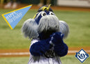 MLB Tampa Bay Rays Raymond Mascot Birthday Card-Postcards/Greeting Cards-JadeMoghul Inc.