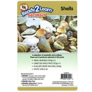 NATURAL ASSORTMENTS: SHELLS-Supplies-JadeMoghul Inc.