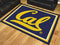 8x10 Rug NCAA UC Berkeley 8'x10' Plush Rug