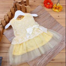 New 2014 girls princess dress/Multi-colored lace tutu dress/Elegant girl dress with bowknot/Summer hot sale-Khaki-0-3 months-JadeMoghul Inc.