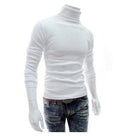 New Fashionable Men Sweater / High-Necked Smart Sweater AExp