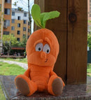 New Fruits Vegetables cauliflower Mushroom blueberry Starwberry 9" Soft Plush Doll Toy