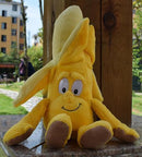 New Fruits Vegetables cauliflower Mushroom blueberry Starwberry 9" Soft Plush Doll Toy