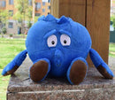 New Fruits Vegetables cauliflower Mushroom blueberry Starwberry 9" Soft Plush Doll Toy