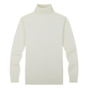 New Turtleneck Slim Pullover Solid Color Knitted Sweater For Men AExp