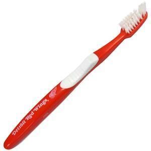 NHL - Detroit Red Wings Toothbrush-Home & Office,Toothbrushes,Adult Toothbrushes,NHL Adult Toothbrushes-JadeMoghul Inc.