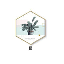 Nordic Hexagon Green Plant Canvas Painting HD Cactus Pineapple Wall Pictures For Living Room Fashion Home Decor Poster Wall Art JadeMoghul Inc.