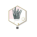 Nordic Hexagon Green Plant Canvas Painting HD Cactus Pineapple Wall Pictures For Living Room Fashion Home Decor Poster Wall Art JadeMoghul Inc.