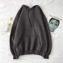 oversized 12 Colors Sweatshirts autumn Women's Solid Hooded Female 2020 Cotton Thicken Warm Hoodies Lady Autumn Fashion Tops AExp