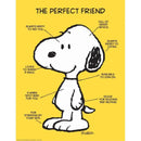 PEANUTS THE PERFECT FRIEND 17X22-Learning Materials-JadeMoghul Inc.