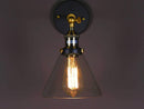 Pendant Lights Glass Pendant Light - Lilo Glass Antique Edison Light HomeRoots