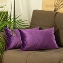 Pillows Throw Pillow Covers - 21"x14" Purple Velvet Decorative Throw Pillow Cover 2 Pcs in set HomeRoots