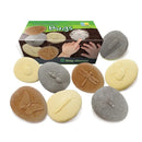 PLAY AND EXPLORE BUGS-Supplies-JadeMoghul Inc.