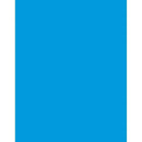 POSTER BOARD 22X28 BLUE 6 PLY 25SHT-Arts & Crafts-JadeMoghul Inc.