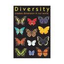 POSTER DIVERSITY CREATES-Learning Materials-JadeMoghul Inc.