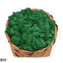 20g High Quality Artificial Moss Immortal Moss Simulation Green Plant Grass Home Decorative Wall DIY Micro Landscape Accessories
