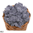 20g High Quality Artificial Moss Immortal Moss Simulation Green Plant Grass Home Decorative Wall DIY Micro Landscape Accessories