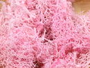 20g Artificial plant eternal life moss / Garden home decoration wall DIY Flower material Mini Garden Micro Landscape Accessories