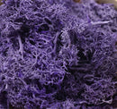 20g Artificial plant eternal life moss / Garden home decoration wall DIY Flower material Mini Garden Micro Landscape Accessories