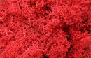 20g Artificial plant eternal life moss / Garden home decoration wall DIY Flower material Mini Garden Micro Landscape Accessories