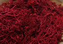 20g Artificial plant eternal life moss / Garden home decoration wall DIY Flower material Mini Garden Micro Landscape Accessories