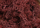 20g Artificial plant eternal life moss / Garden home decoration wall DIY Flower material Mini Garden Micro Landscape Accessories