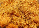 20g Artificial plant eternal life moss / Garden home decoration wall DIY Flower material Mini Garden Micro Landscape Accessories