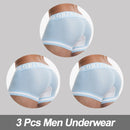 3Pcs Comfortable Cotton Mesh Boxer Briefs / Men's Underwear