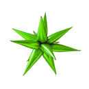 Explosion Star Foil Balloon