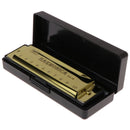 10 Holes Key of C Blues Harmonica Musical Instrument