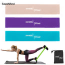 17Pcs Resistance Bands Set Expander Tubes Rubber Band Stretch Training Physical Therapy Home Gyms Workout Elastic Band Pull Rope