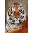 25 Pattern Animal 5D Diy Diamond Painting Cross Ctitch Kits Wall Sticker Diamond art Mosaic Embroidery Painting New Year Gift