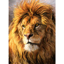 25 Pattern Animal 5D Diy Diamond Painting Cross Ctitch Kits Wall Sticker Diamond art Mosaic Embroidery Painting New Year Gift