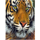 25 Pattern Animal 5D Diy Diamond Painting Cross Ctitch Kits Wall Sticker Diamond art Mosaic Embroidery Painting New Year Gift