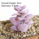 39Styles Purple Flocking Artificial Succulents Plants Home Garden Decoration DIY Plants Wall Flower Arrangement Fake Plants