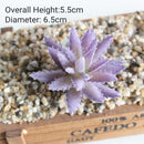 39Styles Purple Flocking Artificial Succulents Plants Home Garden Decoration DIY Plants Wall Flower Arrangement Fake Plants