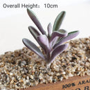 39Styles Purple Flocking Artificial Succulents Plants Home Garden Decoration DIY Plants Wall Flower Arrangement Fake Plants