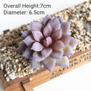 39Styles Purple Flocking Artificial Succulents Plants Home Garden Decoration DIY Plants Wall Flower Arrangement Fake Plants