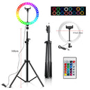 10 Inch Rgb Video Light 16Colors Rgb Ring Lamp For Phone With Remote Camera Studio Large Light Led 48" Stand 160Cm For Youtuber