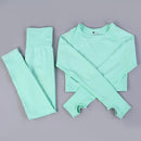 Women Seamless Long Sleeve Yoga Set 2 Piece Sports Bra Top+Pants Sportswear Tracksuit Gym Fitness Leggings Costume Jogging Suit