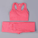 Women Seamless Long Sleeve Yoga Set 2 Piece Sports Bra Top+Pants Sportswear Tracksuit Gym Fitness Leggings Costume Jogging Suit