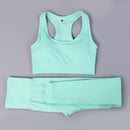 Women Seamless Long Sleeve Yoga Set 2 Piece Sports Bra Top+Pants Sportswear Tracksuit Gym Fitness Leggings Costume Jogging Suit