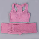 Women Seamless Long Sleeve Yoga Set 2 Piece Sports Bra Top+Pants Sportswear Tracksuit Gym Fitness Leggings Costume Jogging Suit