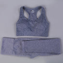 Women Seamless Long Sleeve Yoga Set 2 Piece Sports Bra Top+Pants Sportswear Tracksuit Gym Fitness Leggings Costume Jogging Suit