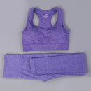 Women Seamless Long Sleeve Yoga Set 2 Piece Sports Bra Top+Pants Sportswear Tracksuit Gym Fitness Leggings Costume Jogging Suit