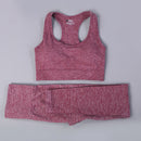 Women Seamless Long Sleeve Yoga Set 2 Piece Sports Bra Top+Pants Sportswear Tracksuit Gym Fitness Leggings Costume Jogging Suit