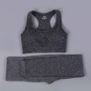 Women Seamless Long Sleeve Yoga Set 2 Piece Sports Bra Top+Pants Sportswear Tracksuit Gym Fitness Leggings Costume Jogging Suit
